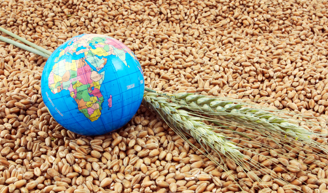 Är den globala livsmedelssäkerheten i fara?